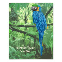 Hyacinth Macaw Costa Rica Design Poster
