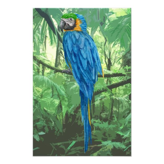 Hyacinth Macaw Design Photo élargissement (Devant)