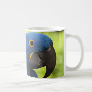 Hyacinth Macaw Koffiemok