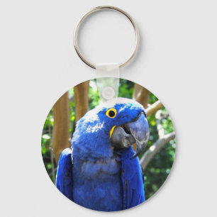 Hyacinth Macaw Sleutelhanger
