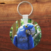 Hyacinth Macaw Sleutelhanger (Voorkant)