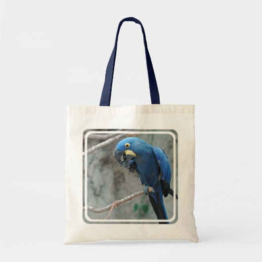 Hyacinth Macaw Small Canvas tas (Voorkant)