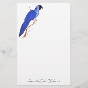 Hyacinth Macaw Stationery Briefpapier