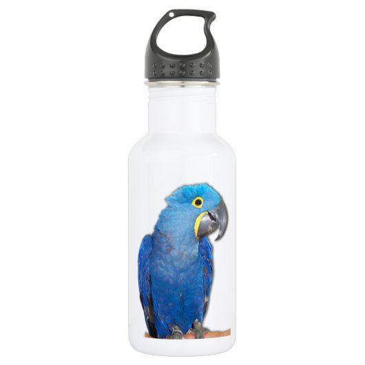 Hyacinth Macaw Waterfles (Voorkant)