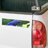 Hyacinth Macaws Bumpersticker (Op Truck)