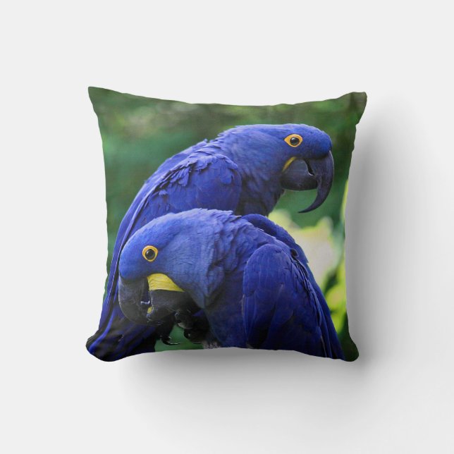 Hyacinth Macaws Kussen (Voorkant)