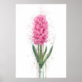 Hyacinth Poster