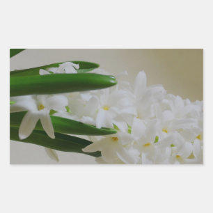 Hyacinth Rechthoekige Sticker