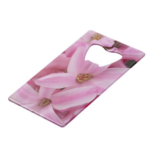 hyacinthe rose (Devant Angle)