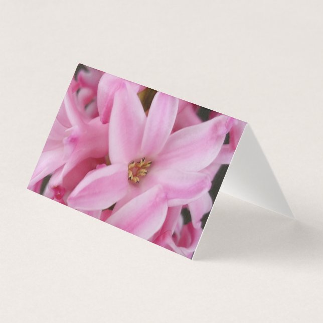 hyacinthe rose (Front)