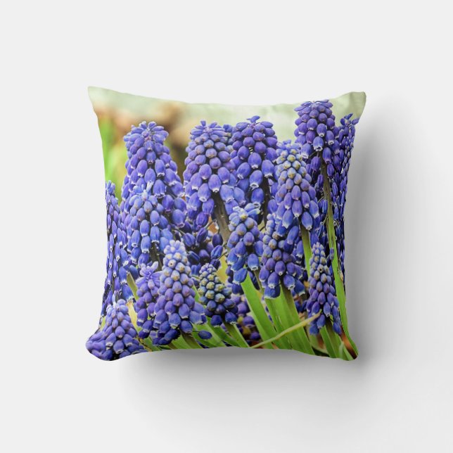 Hyacinthes de raisin - coussin (Recto)