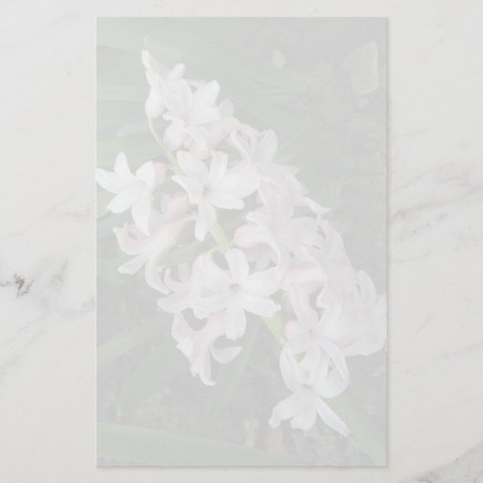 Hyacinths Papeterie (Devant)