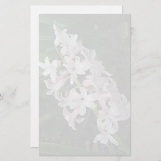 Hyacinths Papeterie (Devant / Derrière)