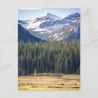 Hyalite Peaks Bozeman, Montana Briefkaart