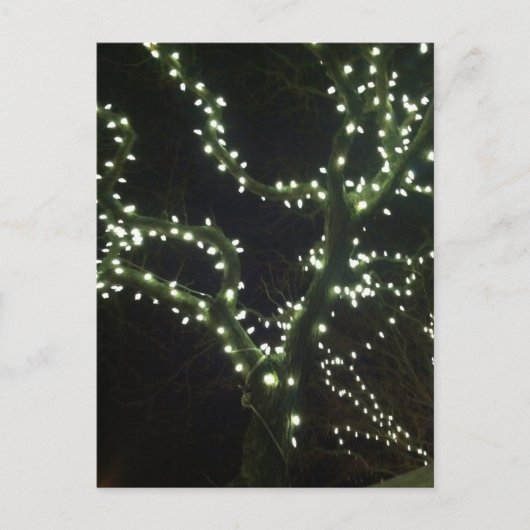 Hyannis Lights Postcard Briefkaart (Voorkant)