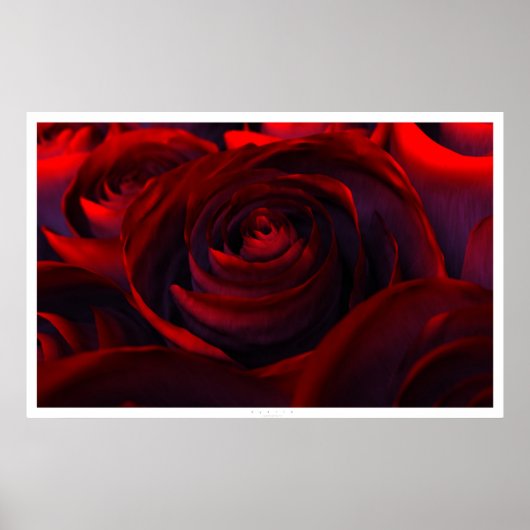 Hybride (breed) poster (Voorkant)