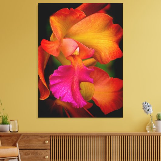 Hybride Cattleya Orchidee Canvas Print (Insitu (Woonkamer))
