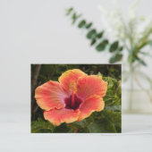 Hybride Hibiscus Briefkaart (Staand voorkant)
