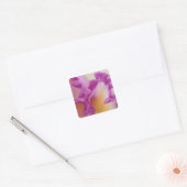 Hybride orchidee close-up, Delray Beach, Florida Vierkante Sticker (Envelop)