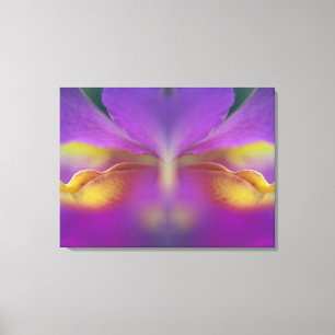 Hybride orchidee, Florida 2 Canvas Afdruk