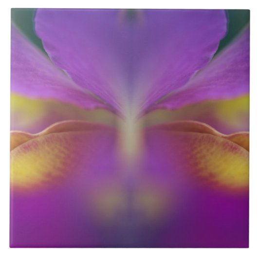 Hybride orchidee, Florida 2 Tegeltje (Voorkant)