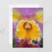 Hybride orchidee, Florida Briefkaart (Voorkant / Achterkant)