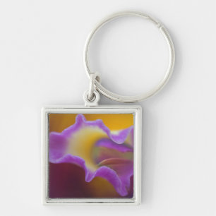 Hybride orchidee, Florida Sleutelhanger