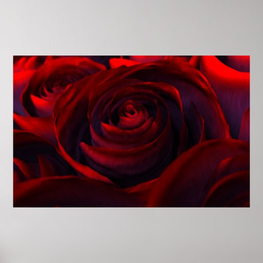 Hybride Poster (Voorkant)