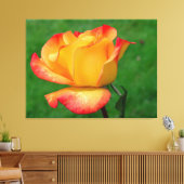 Hybride Tea Roos Rio Samba op Canvas Afdruk (Insitu (Woonkamer))