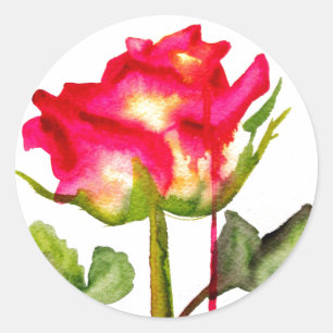 Hybride thee Roos waterverf moderne bloemkunst Ronde Sticker
