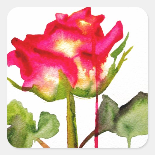 Hybride thee Roos waterverf moderne bloemkunst Vierkante Sticker (Voorkant)