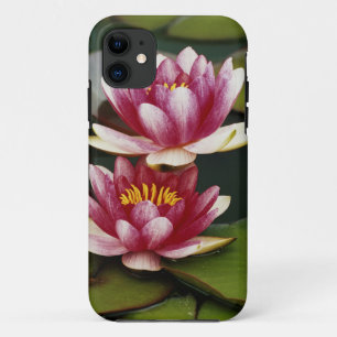 Hybride waterlelies iPhone 11 hoesje