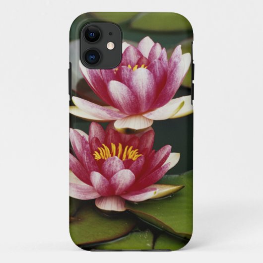 Hybride waterlelies Case-Mate iPhone case (Achterkant)