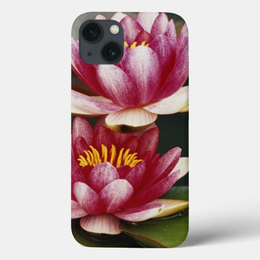 Hybride waterlelies Case-Mate iPhone case (Achterkant)