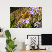 Hydaspe Fritillary op Paarse Aster Flowers Poster (Thuiskantoor)