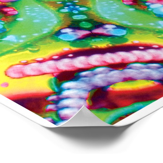 Hydra Cinetic Collage Kaleidoscope Poster (Coin)