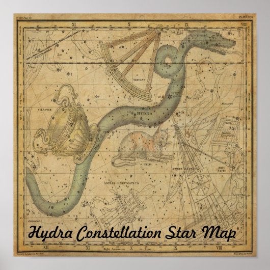 Hydra Constellation Star Map Astronomie Poster (Voorkant)