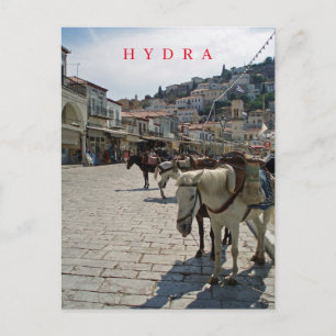 Hydra eilandpaarden uitzicht briefkaart