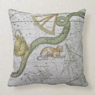 Hydra, van 'A Celestial Atlas', pub. in 1822 (kol. Kussen