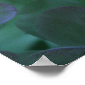 hydrangea 1 poster (Hoek)