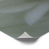 Hydrangea 6 poster (Hoek)