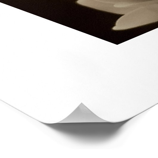 Hydrangea - Afdruk Poster (Hoek)