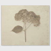 Hydrangea  Antiek Sepia Rustic Floral Cadeaupapier (Vlak)