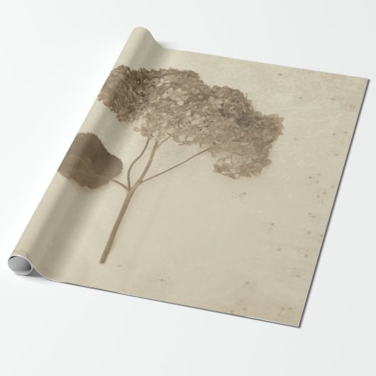 Hydrangea  Antiek Sepia Rustic Floral Cadeaupapier (Uitgerold)