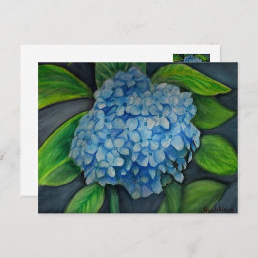 Hydrangea aquarelle Carte postale (Devant / Derrière)