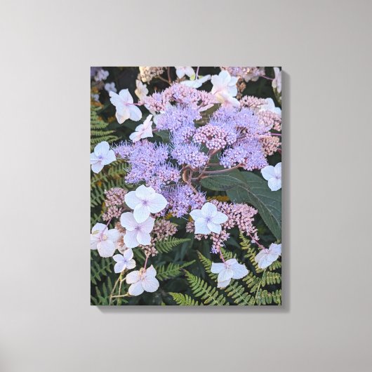 Hydrangea Aspera Bloemen Bloemen Canvas Afdruk (Voorkant)