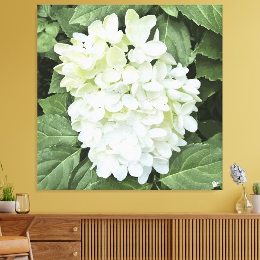 Hydrangea - Blanc - Impression de toile (Insitu(Salon))