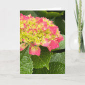 Hydrangea Blank Note Kaart (Voorkant)