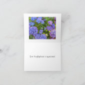 Hydrangea Bleu et Violet Merci (Intérieur)