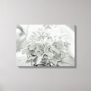 Hydrangea bloem in zwart en wit - meestal wit canvas afdruk